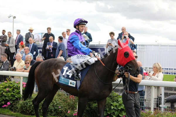 yr19082022r6-6 - Race 6 4.45 pm British Stallion Studs EBF Convivial Maiden Stakes