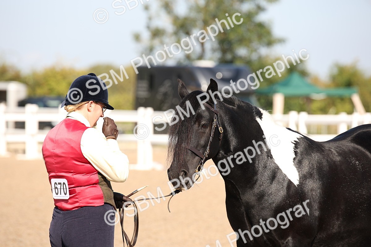 SBM_01527 - Class 15 IH Coloured