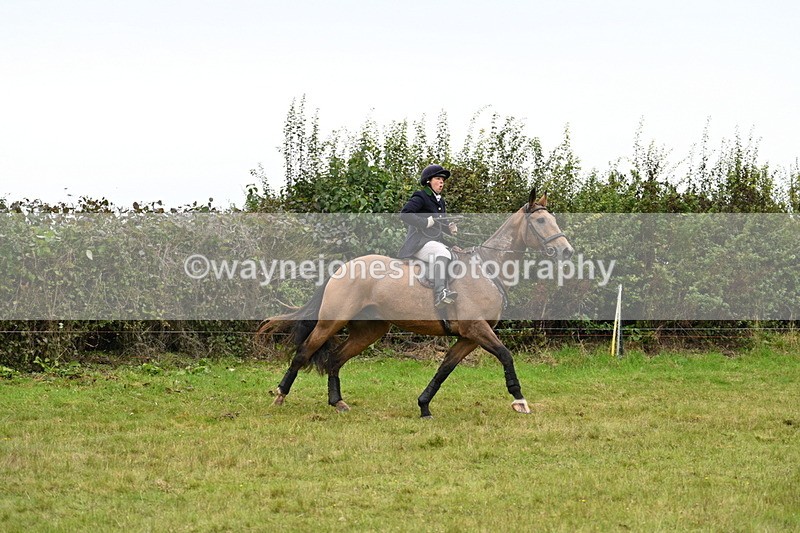 WJ7_4214 - Camera 1 Line 2