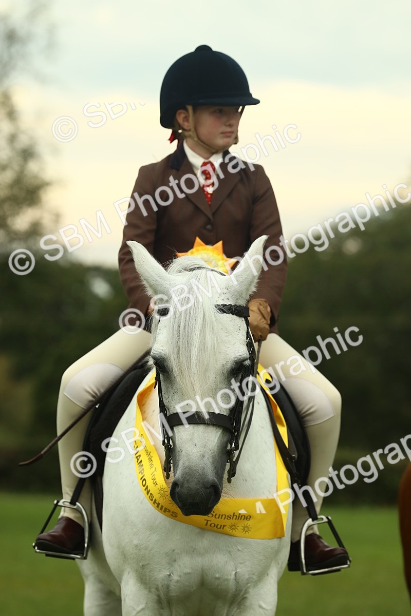 SBM_72316 - S60 - Mountain & Moorland Ridden Large Breeds