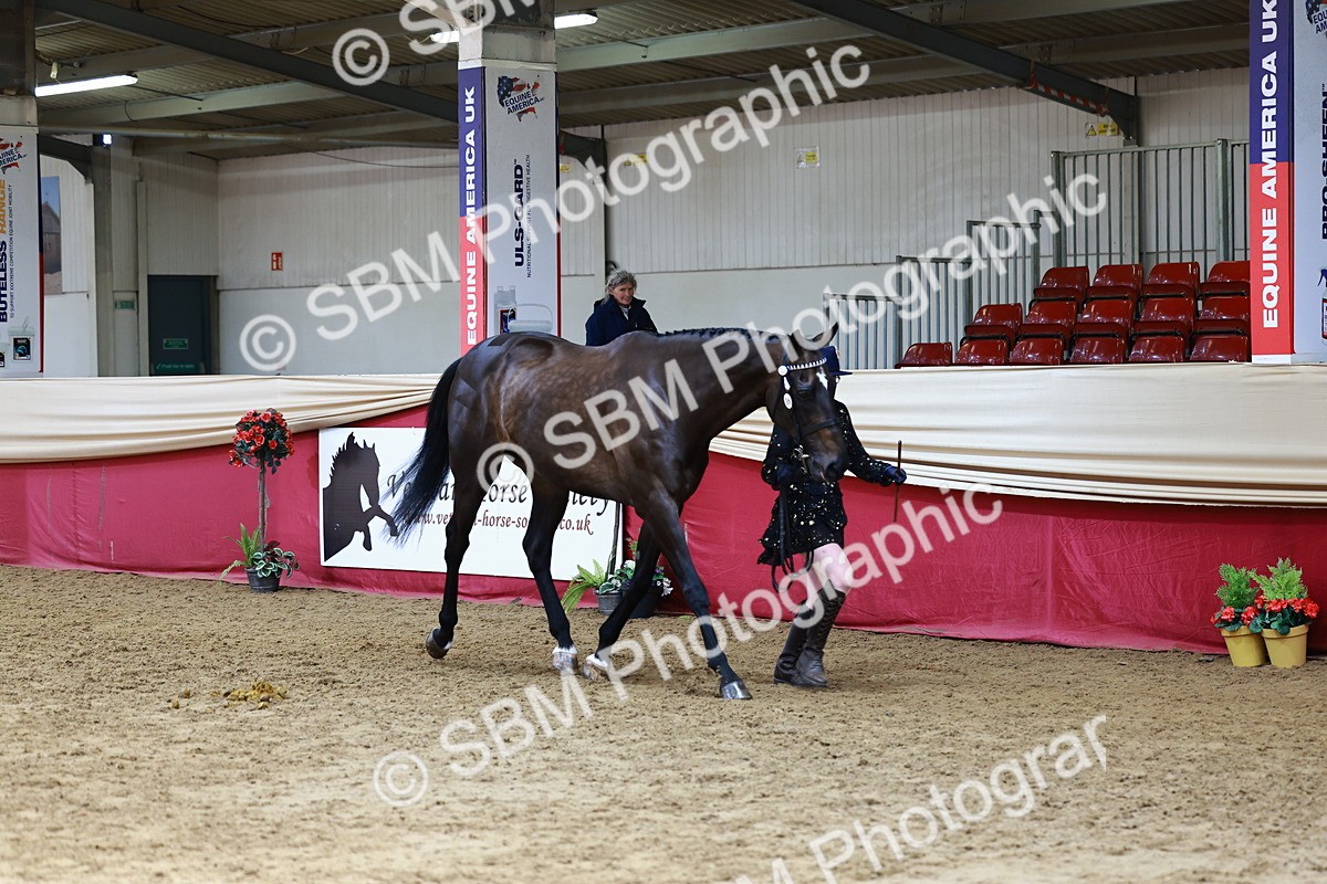 SBM_23156 - Class 903 - Supreme Final - IH Pre Vet