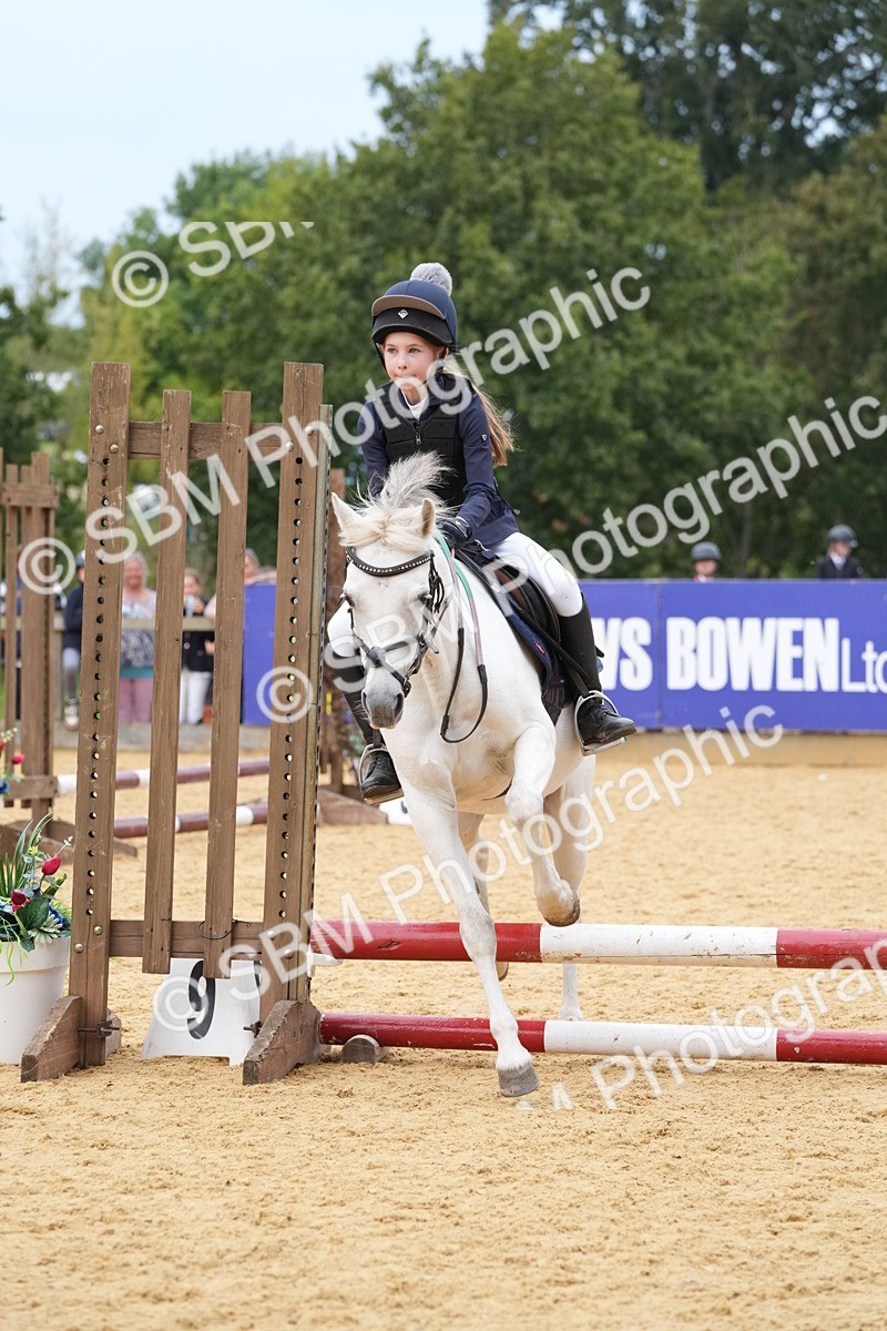 SBM_71729 - J3 - Mini Tour Junior Pony 40cm Championship
