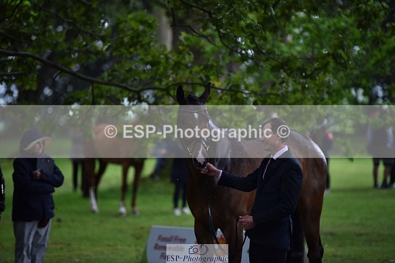 240522-151850-00251 - 320-CARPO_VIVENDI-Jack_Pinkney