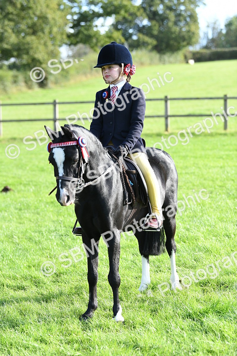 SBM_52394 - S22 - 1st Ridden Show & Show Hunter Pony