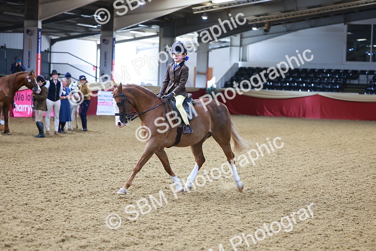 SBM_07703 - Class 101 - HOYS Veteran Qualifier - Ridden Diamond