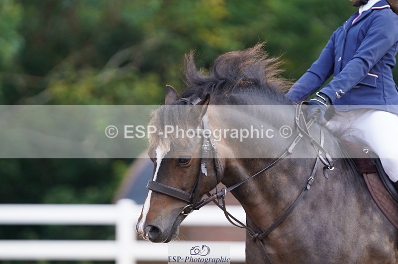 240809A-095926-00384 - Dressage Competition