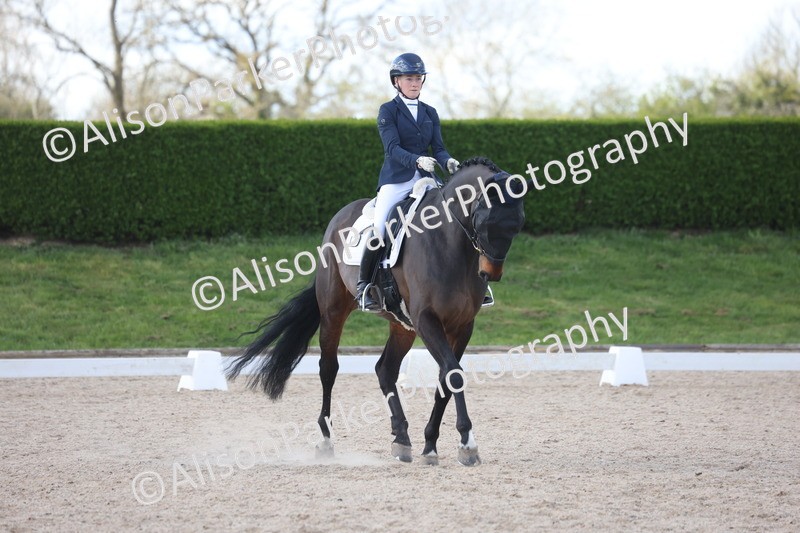 20260405-0644 - Class 7 - Medium 5