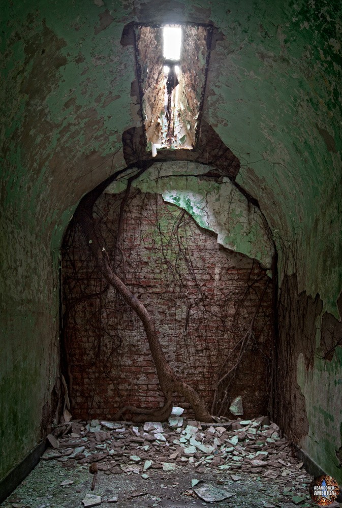Overgrown cell, Holmesburg Prison, Philadelphia PA | Abandoned America by Matthew Christopher