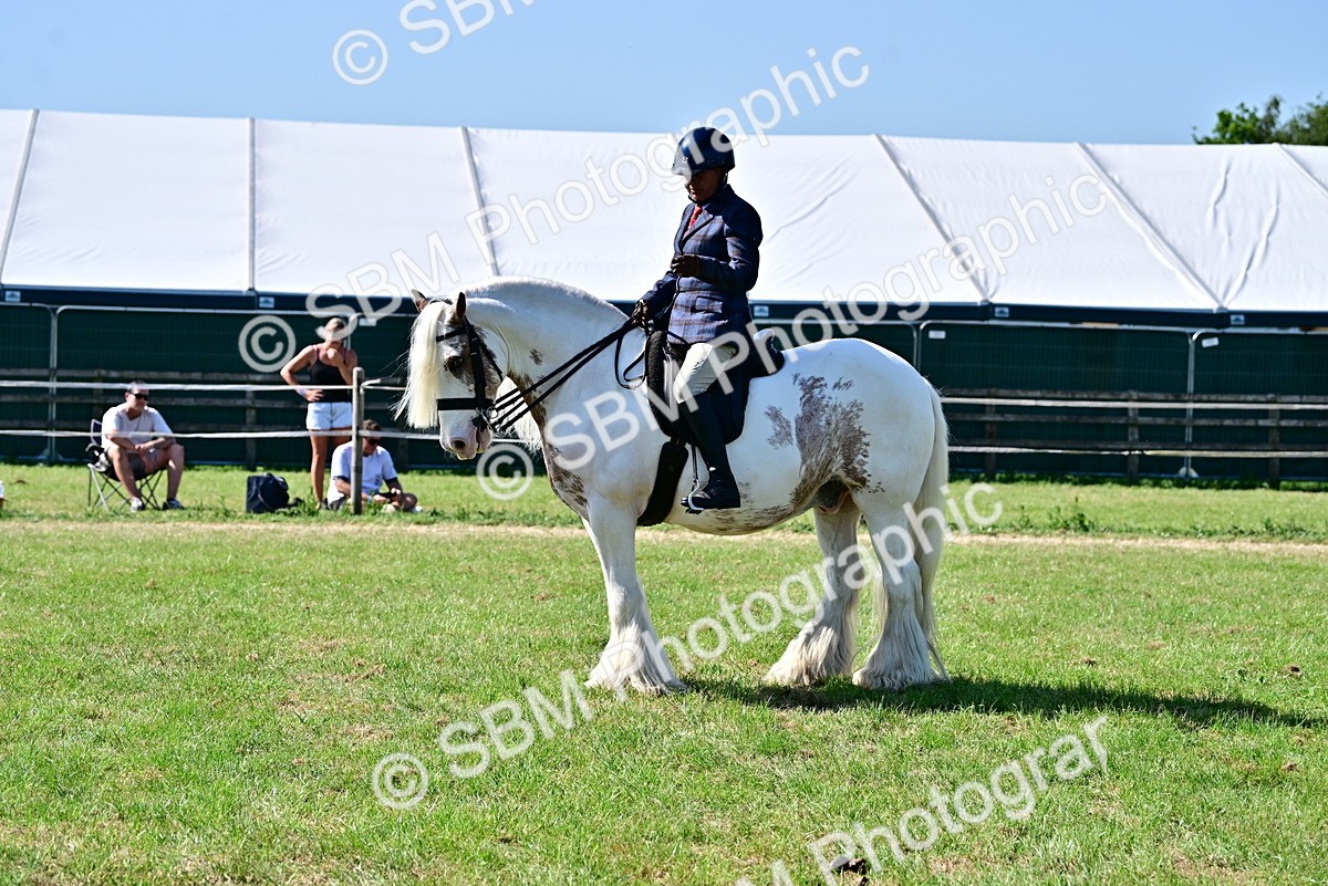 SBM_19403 - Class 101-102 - BSPS LIHS Performance Coloured Horse/Pony