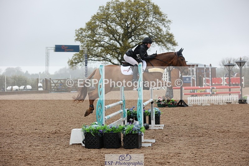 250418-123621-03785 - 205-Millie.Stoneman-V8.CHESTER