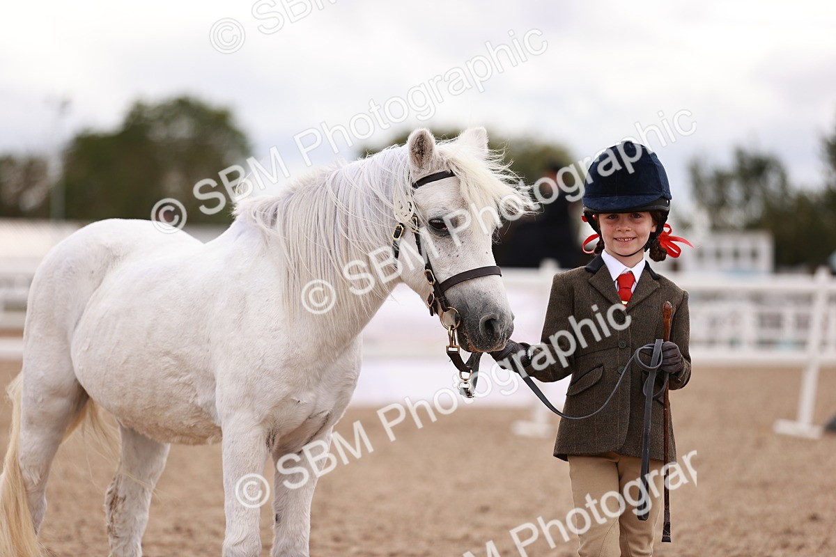 SBM_18496 - Class 420 - Ridden M&M