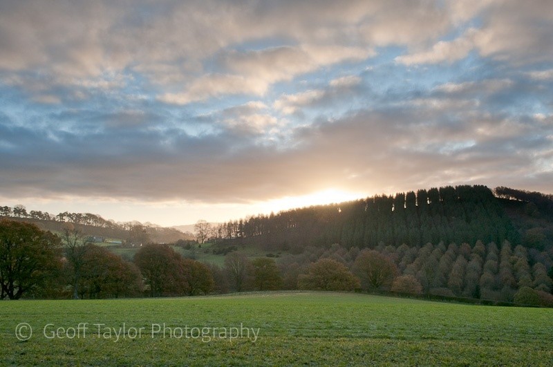Springfield Coppice sunrise - Wenlock Edge