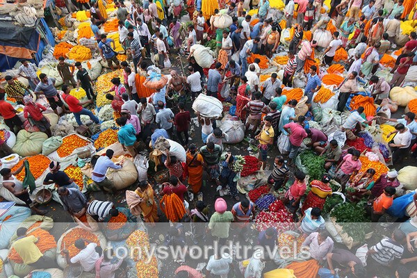 Flower Market, Kolkota - India