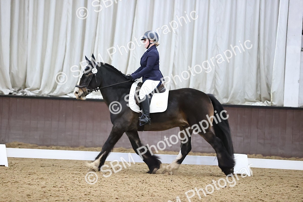 SBM_004290 - Intermediate
