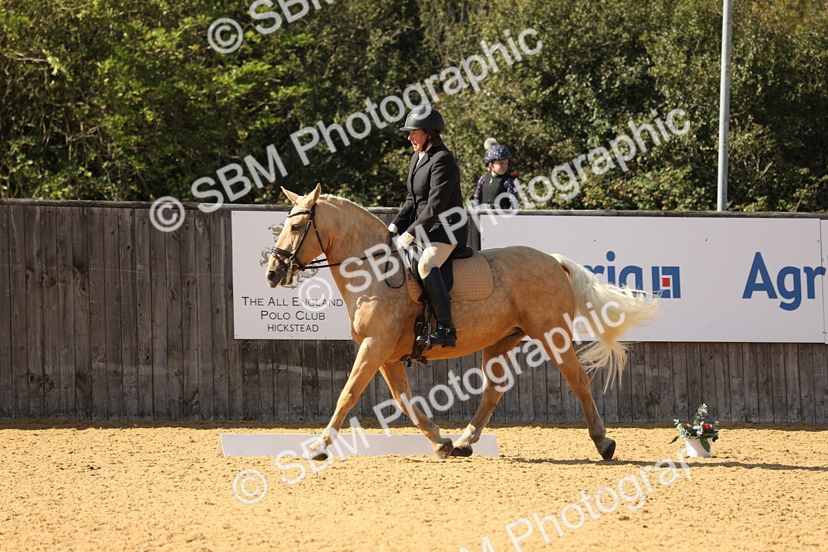 SBM_24572 - D17 - Grand Tour Championship - Novice 27