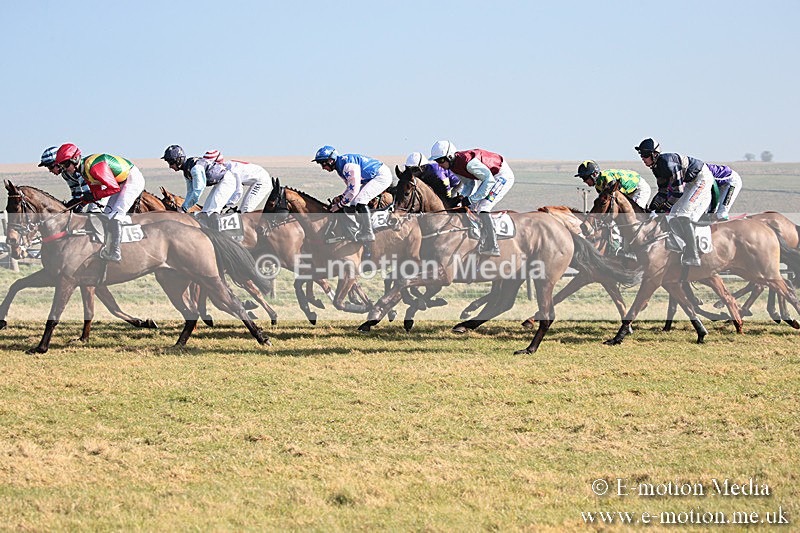 PtP 230219 60 - Vine & Craven Point-To-Point - Barbury 23/02/19