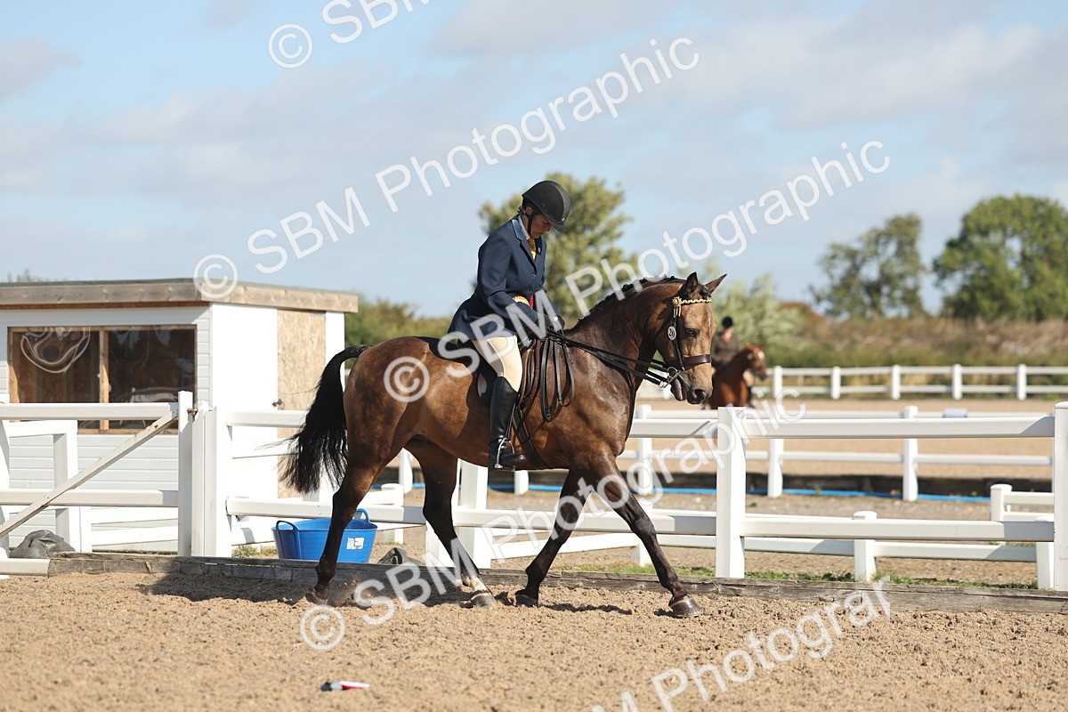 SBM_22351 - Class 803 - Ridden Combination 65+