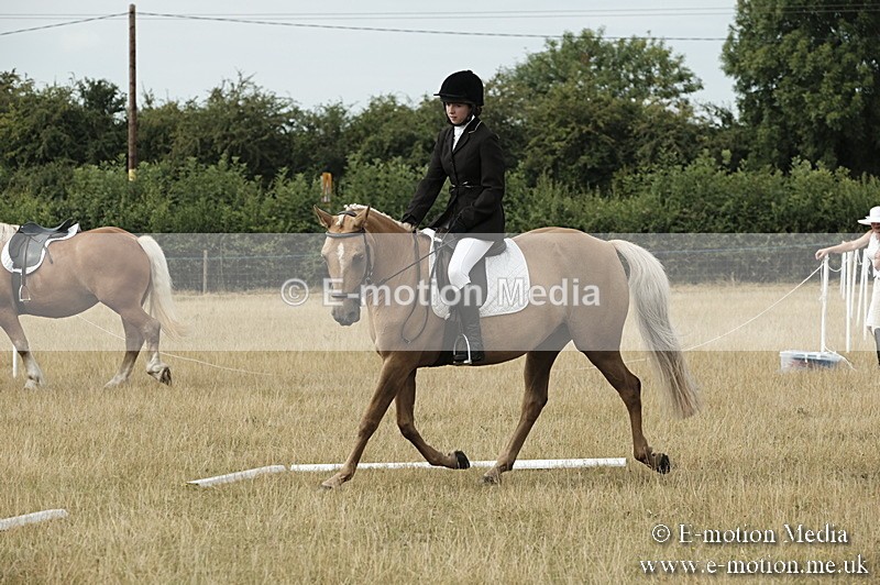 _PJP5737 - Dressage Classes BVRC Show 2018