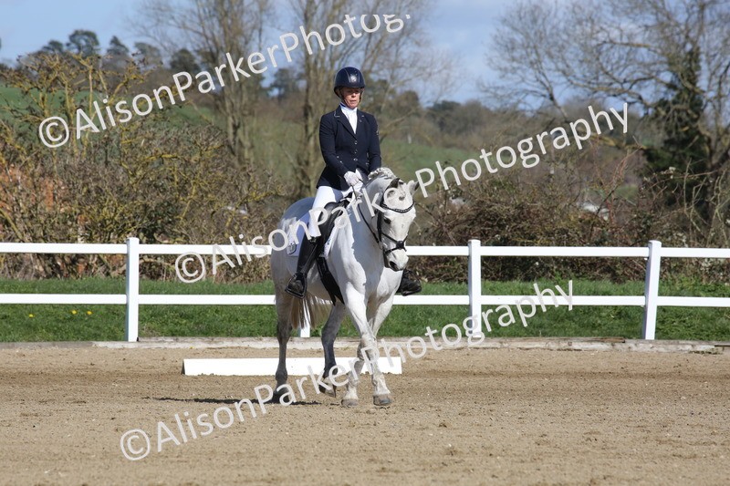 20260314-4015 - CT4 - Novice 1