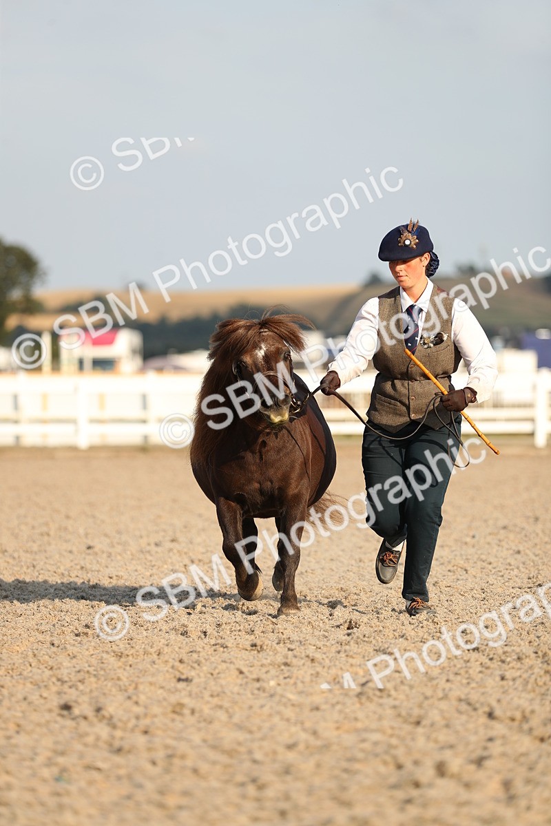 SBM_09059 - Class 29 IH Veteran Pony