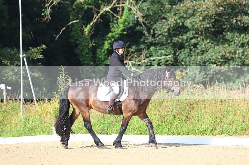 3E7A1847 - Class 1: Intro 4 2024 section A