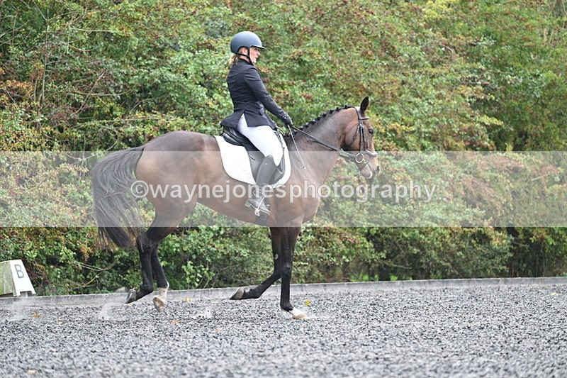 WJ7_3898 - Time 11:04 to 11:38