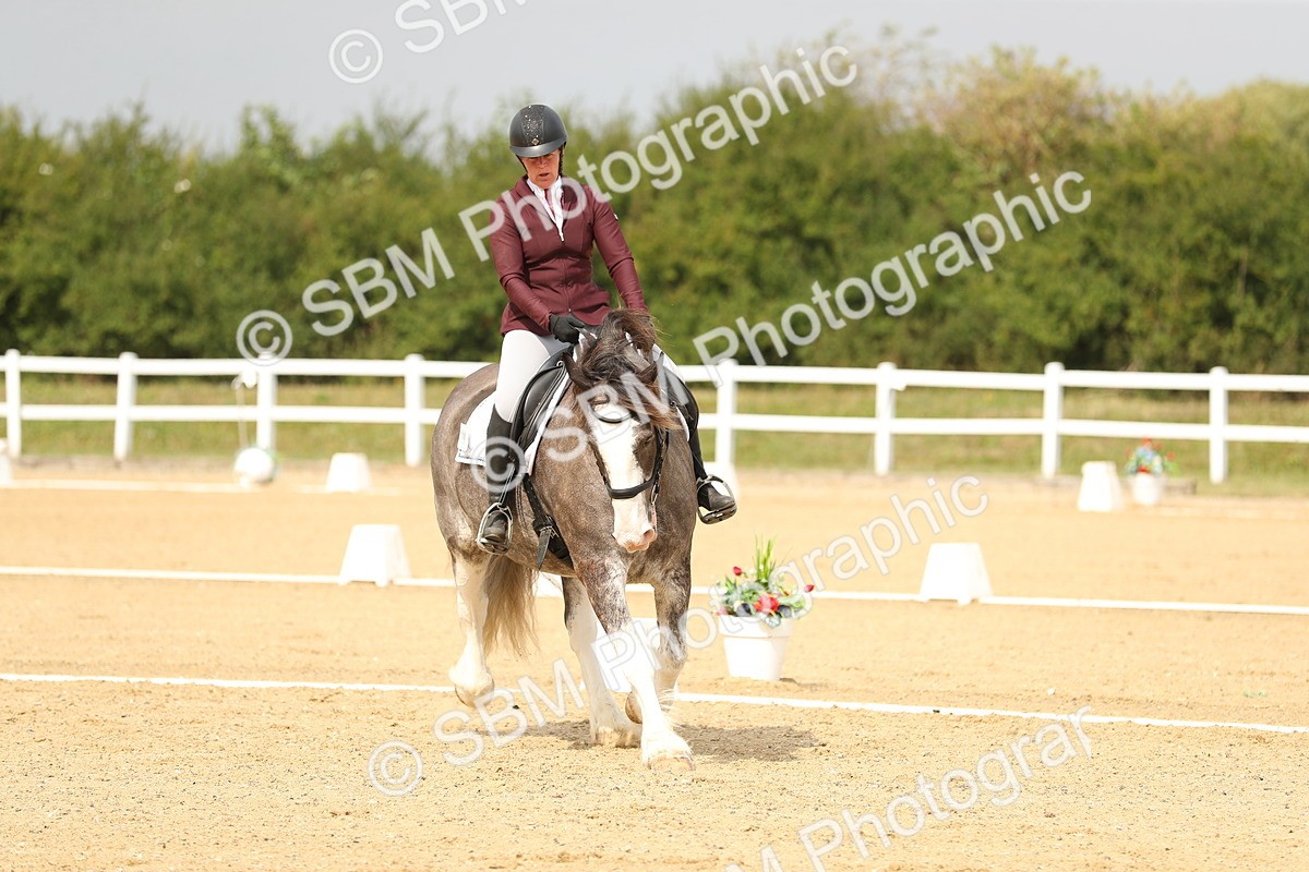 SBM_017318 - Class 13 - Novice 23 - 13.31-14.13