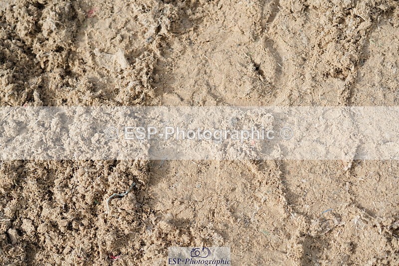 250613A-082344-00941 - Cls 8 85cm Schooling Round