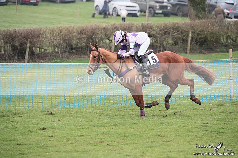 PR PtP 080326 455 - Guilsborough Pony Races 08/03/26