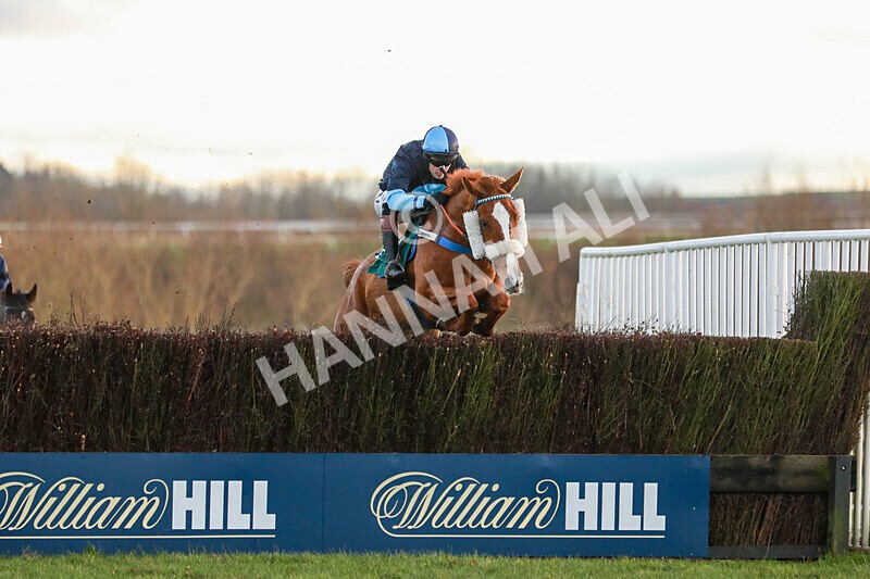 281224-Race 5-Poetry Man-1617 - Race 5