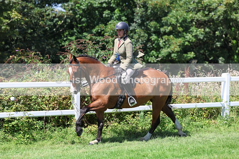 3E7A9235 - Working Hunter Championship