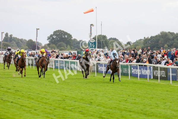 220824-Race 5-Scenic-7807 - Race 5 4.10pm British EBF & Sir Henry Cecil Galtres Stakes