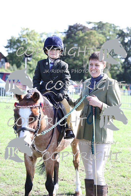 APP_3895 - Class 13 Lead rein