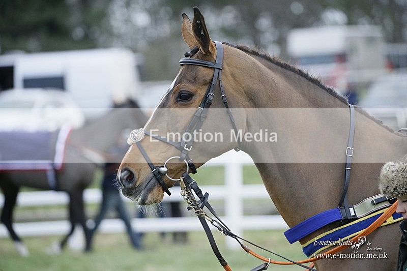PtP 281121 0616 - Hursley Hambledon Point-to-Point Larkhill 28/11/21