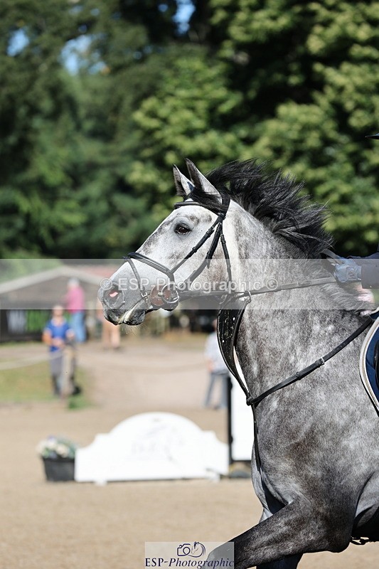 250703A-082940-00012 - Cls 5 85cm Amateur Qualifier