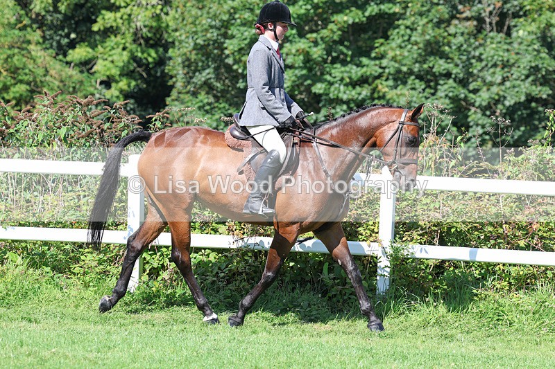 3E7A8328 - Class 4: Novice working Hunter