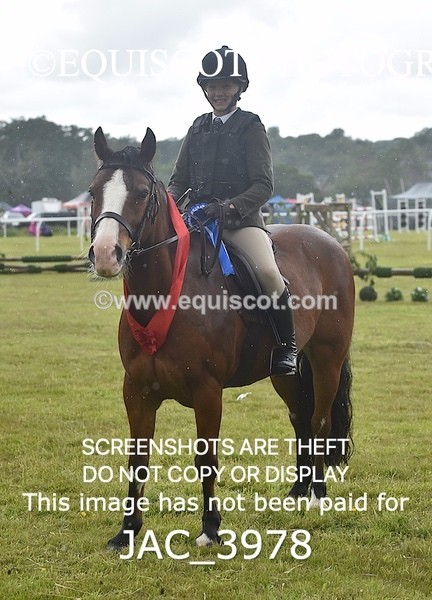 JAC_3978 - 55cm WORKING HUNTER