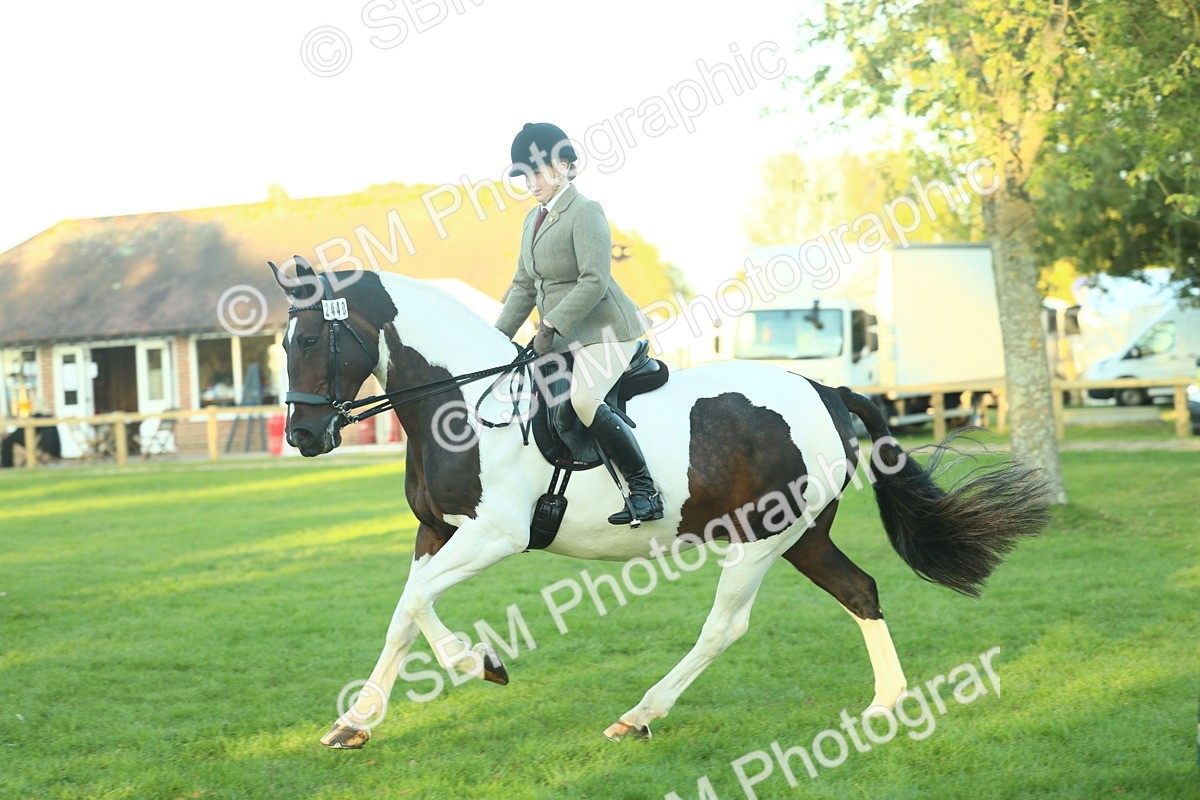 SBM_56495 - S14 - Riding Club Horse