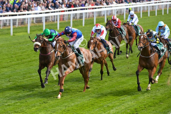 yr12052022r3-13 - Race 3 3.00pm The Paddy Power Hambleton Stakes