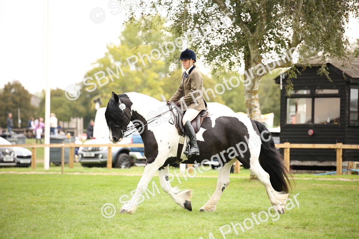 SBM_73521 - S68 - Traditional Cob Ridden