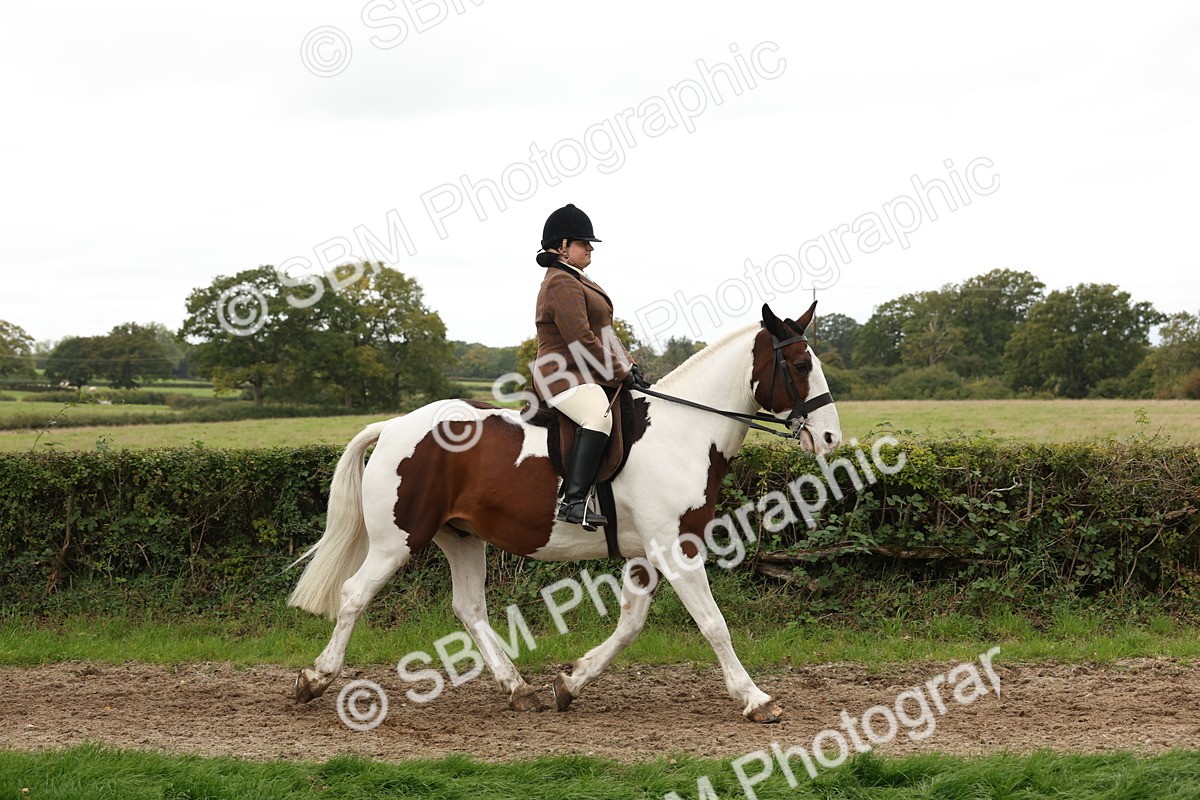SBM_67216 - S67 - Piebald & Skewbald Horse Ridden