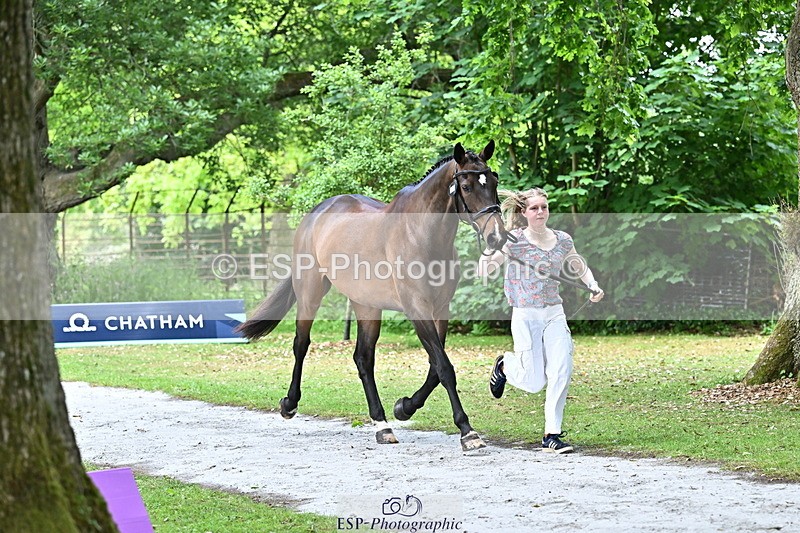 250521A-143454-00095 - A-008-Ada.Marson-IZZIETOP