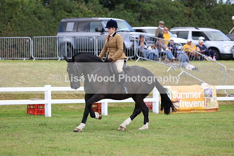 3E7A9725 - Class 5: Rising Star Lightweight/Heavyweight Cobs