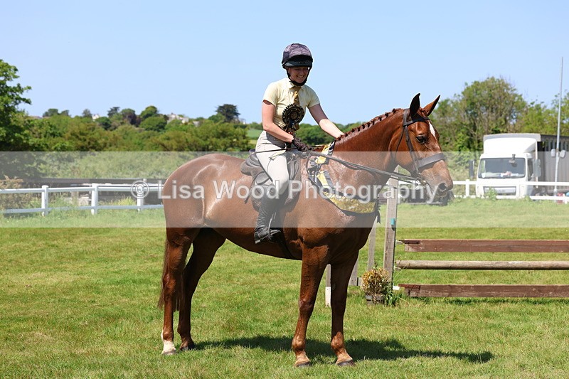 3E7A8109 - Working Hunter Championship