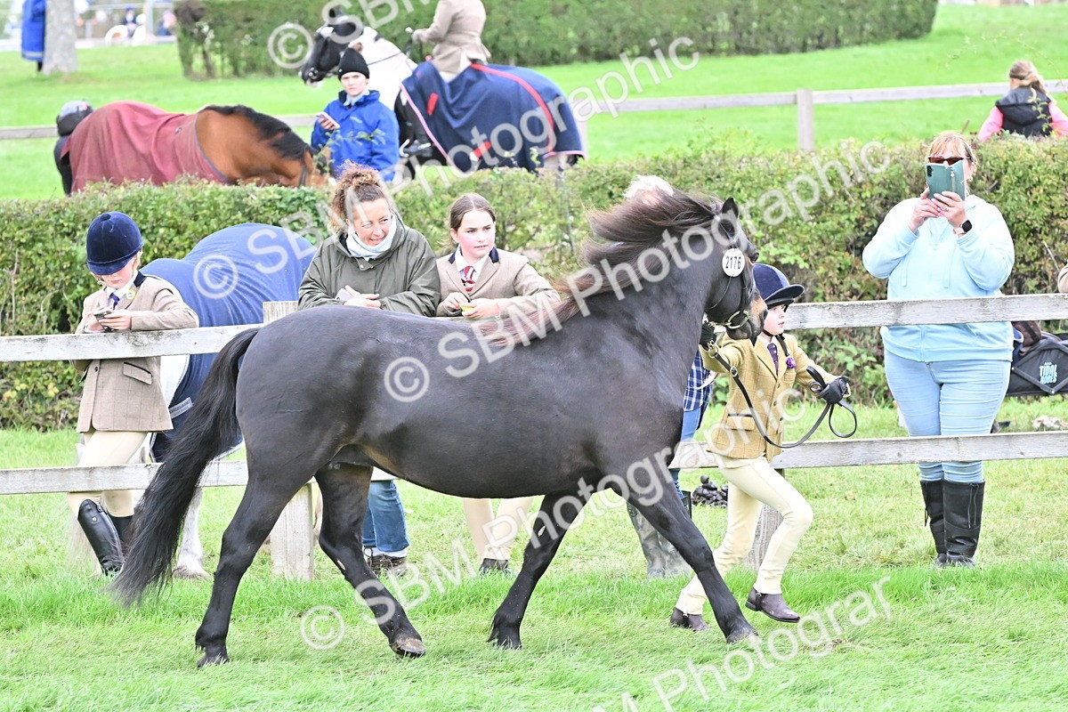 SBM_66792 - S41 - Junior Handler 8 Years & Under