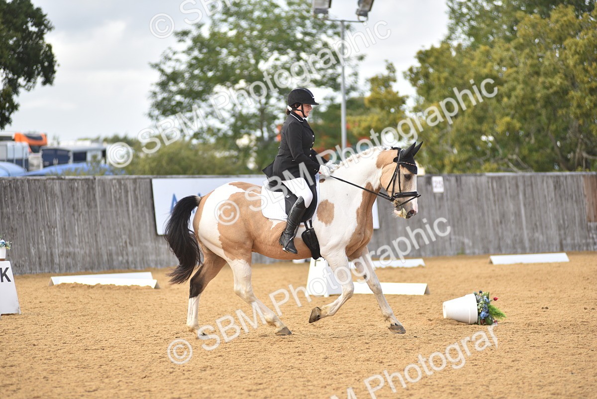 SBM_24353 - D4 - Small Tour Championship Intro 4