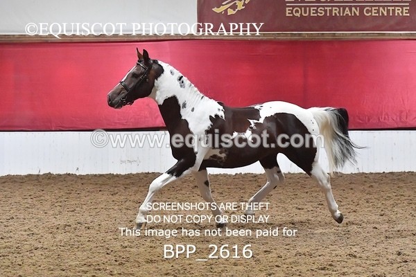 BPP_2616 - LOOSE JUMPING / SPSS