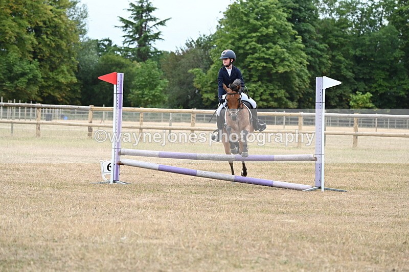 WJ6_0355 - Class 13 Novice Jumping 60cm
