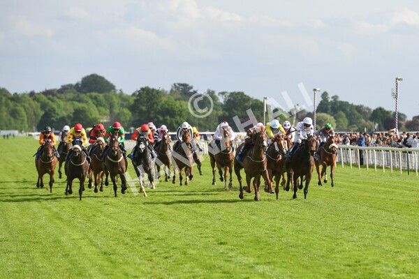 yr21052022r7-20 - Race 7: 5:15pm Reg Bond Always and Forever Stakes