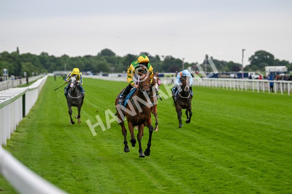 120724-Race 3-Royalty Bay-5972 - Race 3 3.15pm William Hill Keep Your Raceday Positive Irish EBF Fillies' Novice Stakes